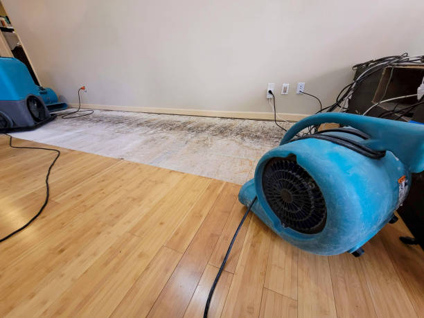 Professional Water Damage Repair technician working in West Alexandria, OH